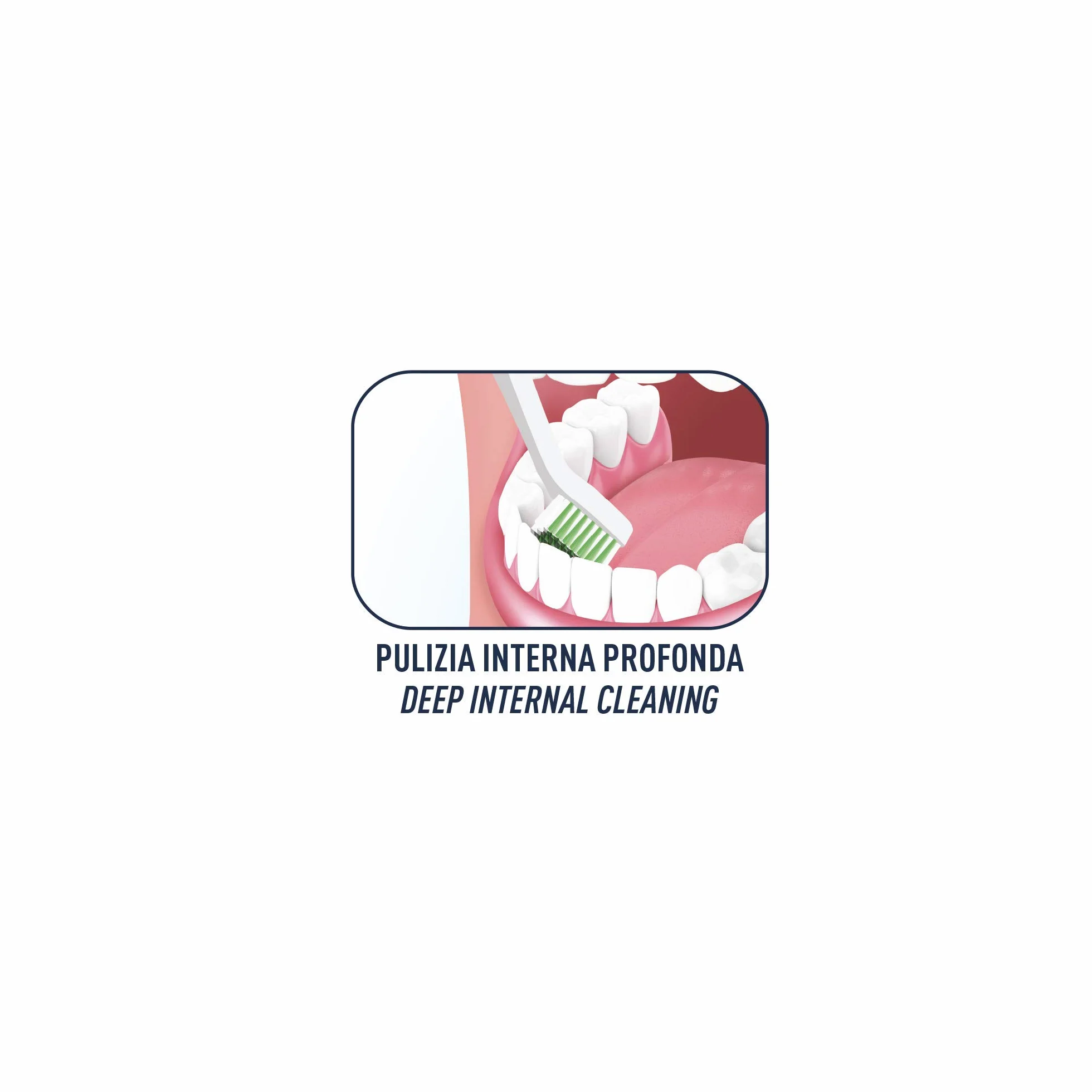 Biorepair , Szczoteczka do zębów Total Protection, antybakteryjna, testowana klinicznie, ze średnim włosiem, opatentowany zakrzywiony kształt, hamuje wzrost bakterii nawet o 90%, usuwa do 100% płytki nazębnej