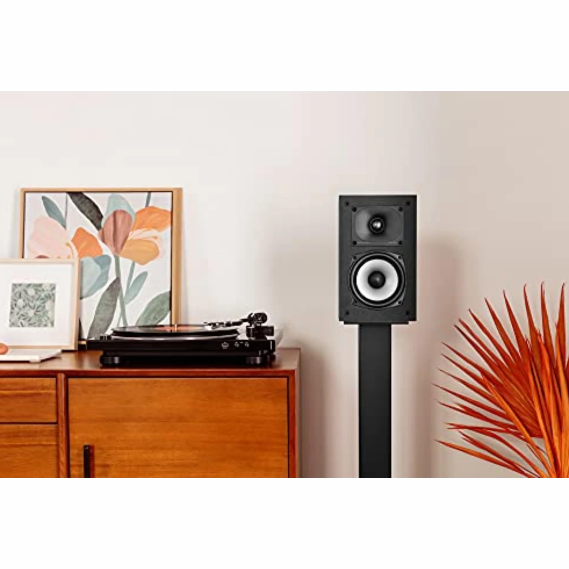 POLK AUDIO MXT15BK Głośniki Czarny 17.5 x 15 x 25 cm