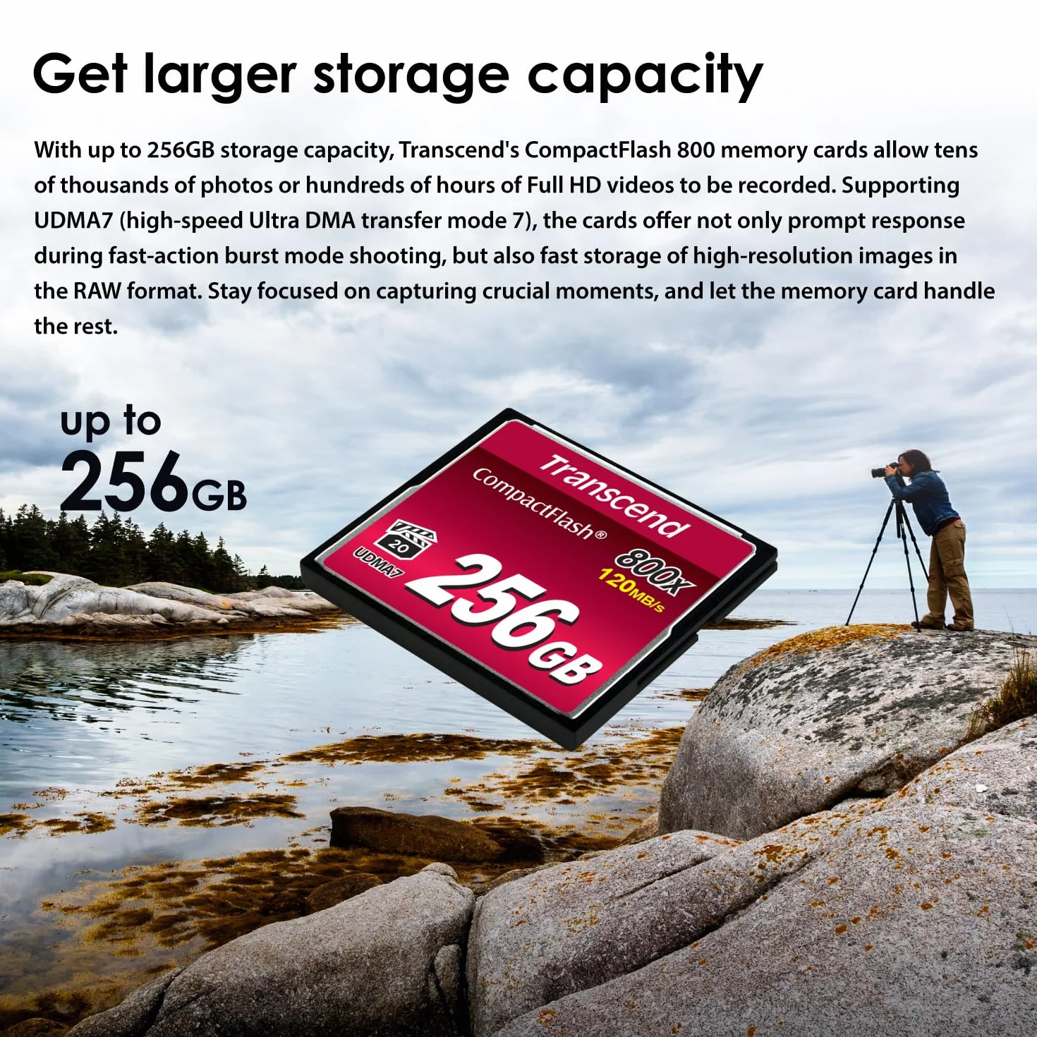 Transcend CF800 | 32GB CF card | MLC NAND flash, up to 120/60 MB/s (TS32GCF800)