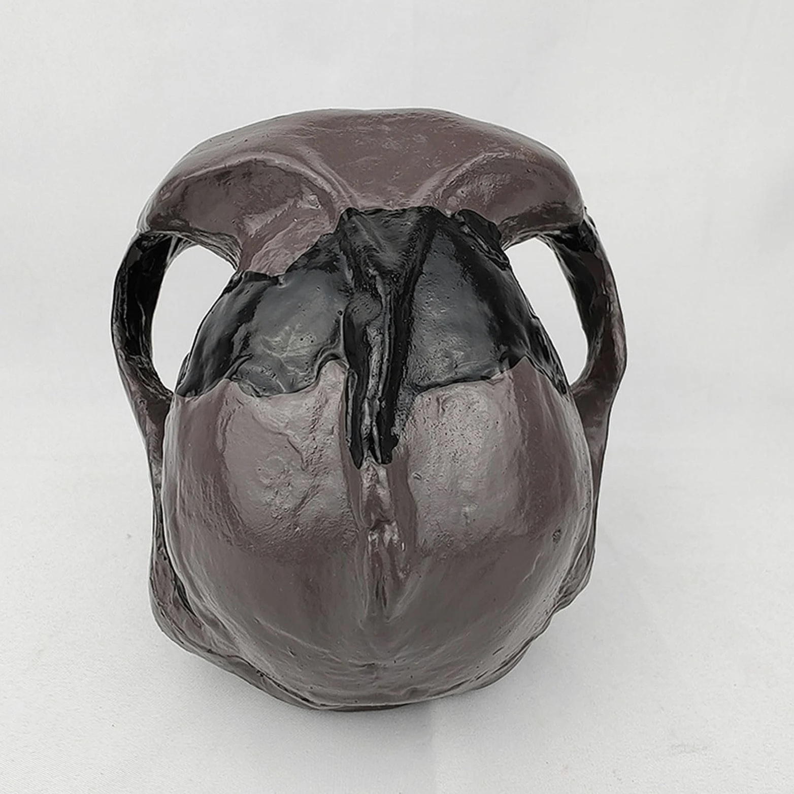 Model czaszki ludzkiej naturalnej wielkości Realistyczne materiały do nauki anatomii czaszki ludzkiej Anatomiczny model czaszki do nauki