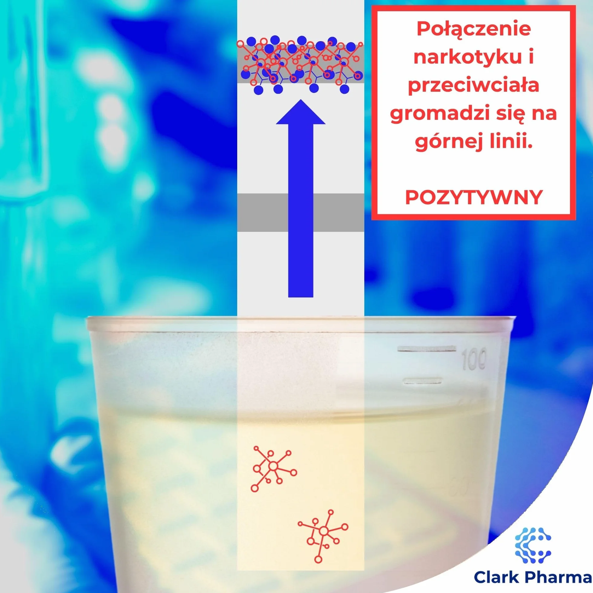 20 x Testy Paskowe na Amfetaminę | Testy Moczowe na Amfetaminę | Zestaw do Wykrywania Narkotyków typu Speed i Uppers