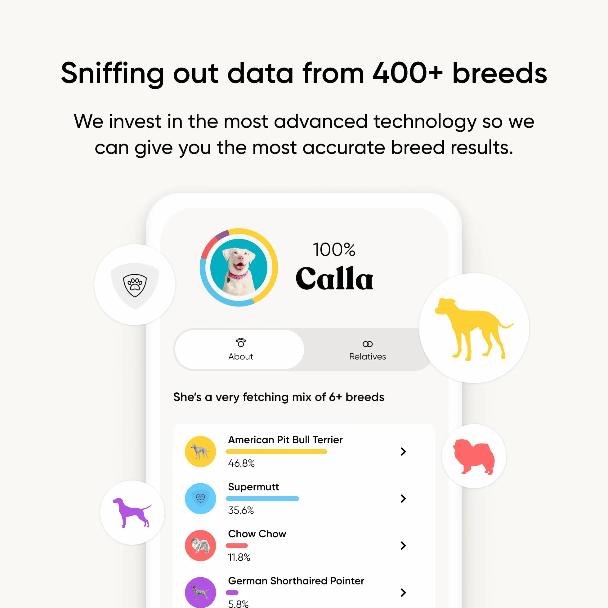 Embark Test DNA dla psów, zestaw do identyfikacji ras