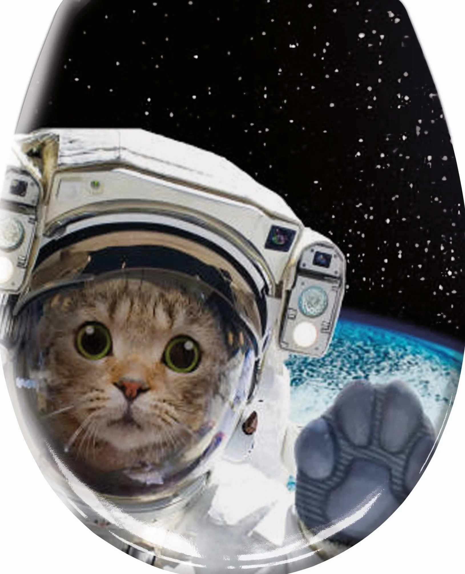 Cosmo Cat wielokolorowy