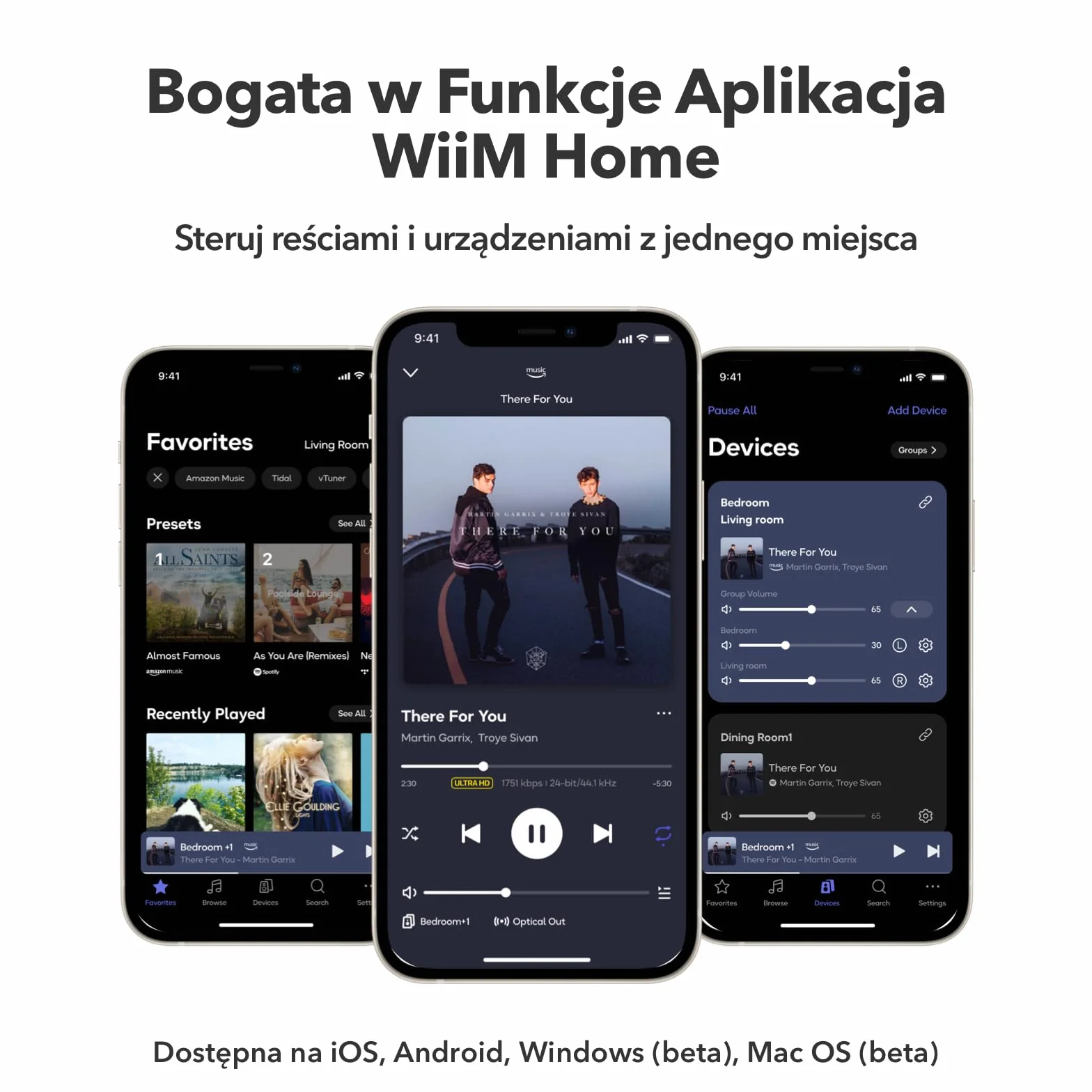 WiiM Amp Wzmacniacz Strumieniowy Multiroom AirPlay Google Cast Alexa HDMI Sterowanie Głosowe Space Grey