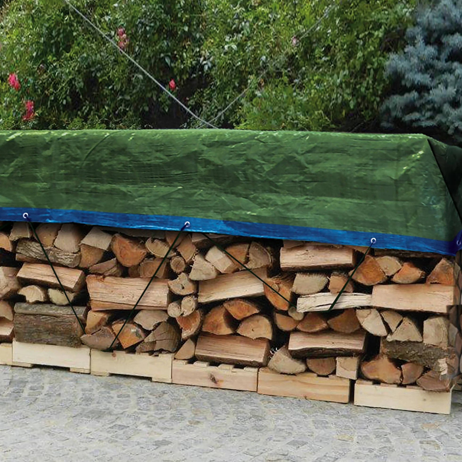 Tenax Plandeka okryciowa z oczkami, 3,00 x 5 m, zielono-niebieska, 90 g/m², plandeka ochronna na drewno, meble ogrodowe, samochody, baseny, łodzie, pole kempingowe, plandeka ochronna z metalowymi