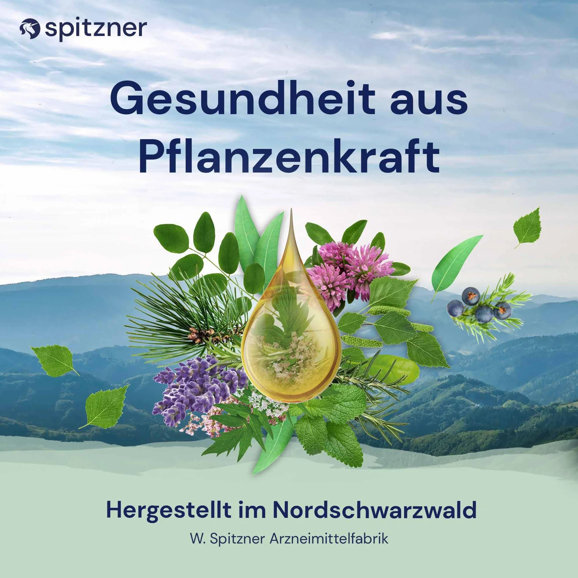 Zestaw naparów do sauny Spitzner Zapach lasu (3 x 190ml)