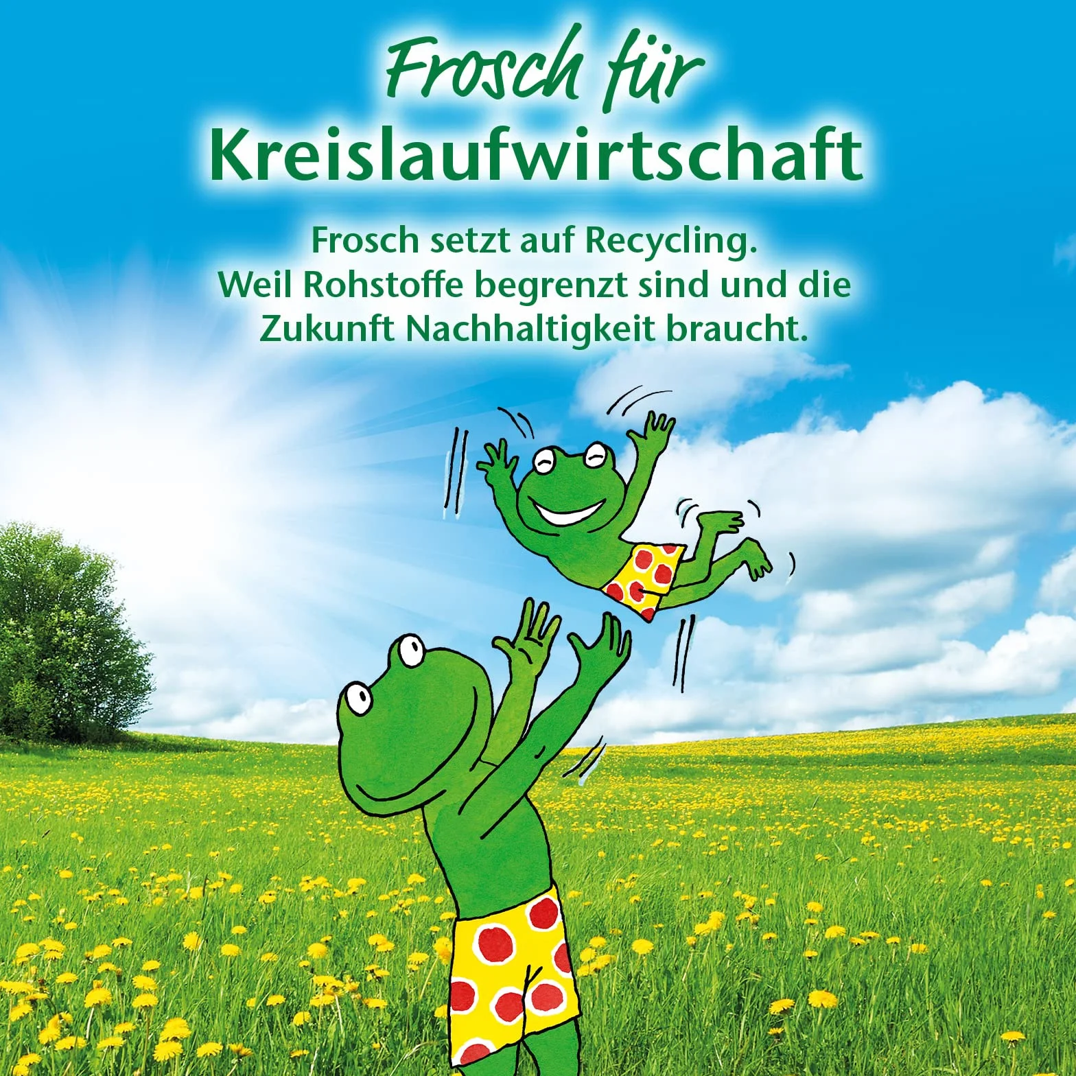 Frosch Spiritus środek do czyszczenia szyb, doskonały połysk bez smug – do gospodarstwa domowego, powierzchni i szyb samochodowych, worek uzupełniający, 1 opakowanie (1 x 950 ml)