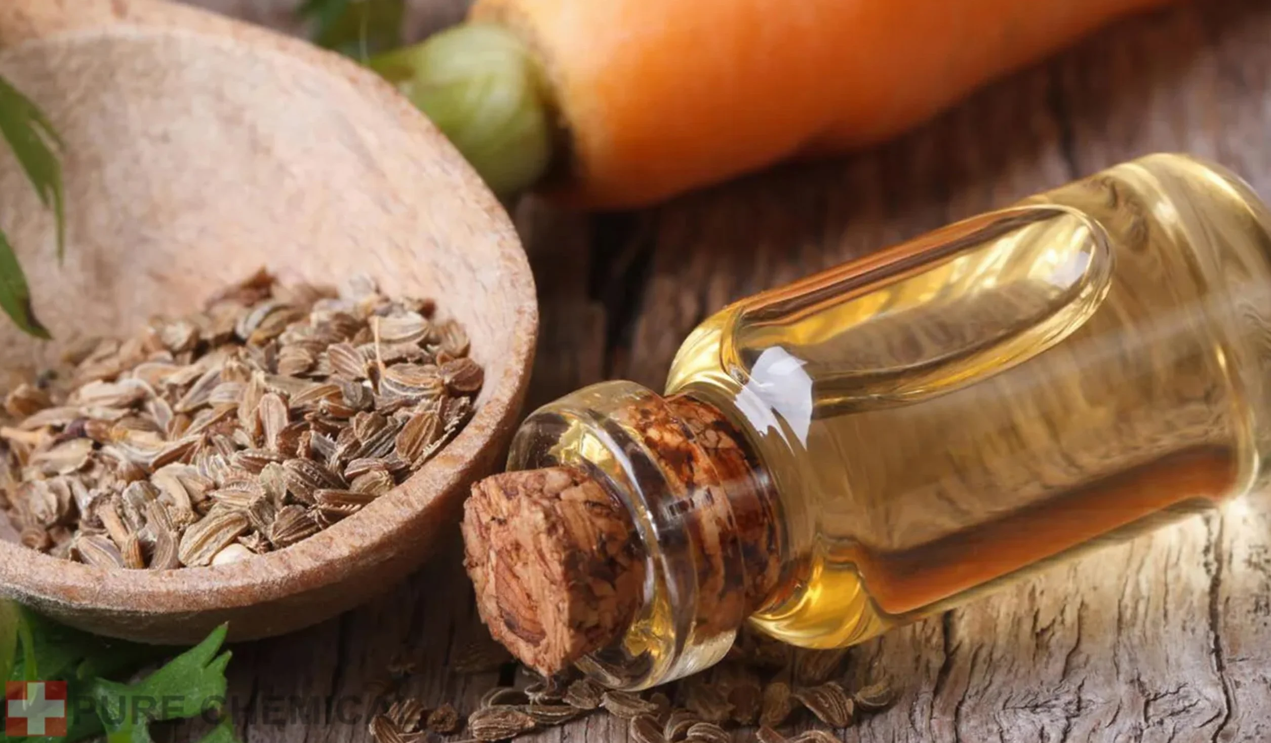 PURE CHEMICAL - Olejek Z Nasion Marchwi - Nierafinowany - Olej Tłoczony Na Zimno - 100% Czysty - Naturalny Bronzer - Nawilża - Odmładza skórę - Naprawa włosów 100Ml
