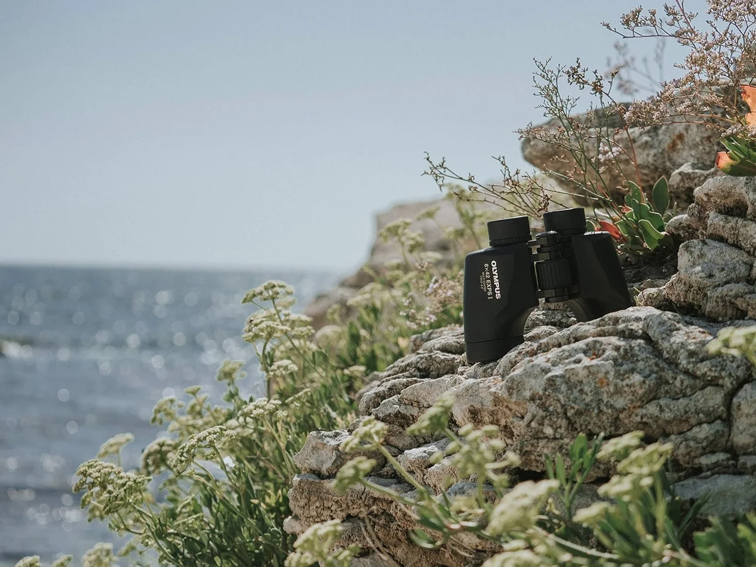 Olympus Lornetka 8x42 EXPS I BaK-4 Wodoszczelna Wielowarstwowe Soczewki