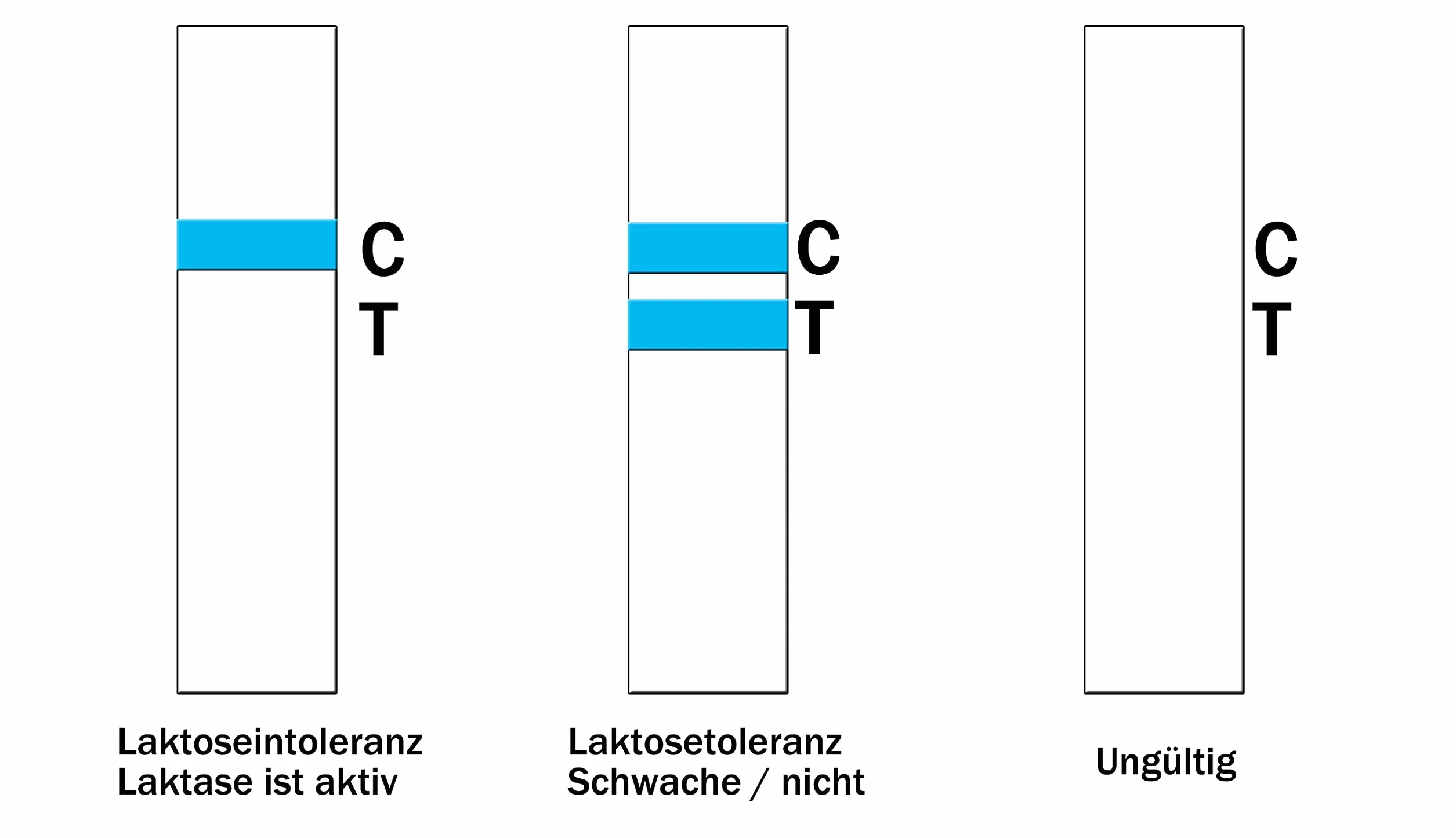 2 szt. pasków testowych na nietolerancję laktozy w domu, dla dorosłych i dzieci, test aktywności laktazy, test wrażliwości na żywność
